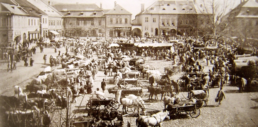 O altfel de istorie a oraşului Baia Mare. Clădiri și edificii cu poveste (VIII), de dr. Viorel Rusu și Lucia Pop: Casa „Iancu de Hunedoara”/Casa „Elisabeta”