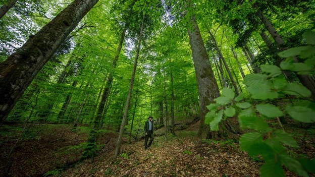 Aerul de la Băiuț – secretul longevității de la Capătul lumii