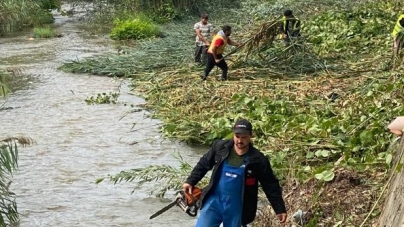 Se lucrează pe Săsar, în Baia Mare: Apele Române anunță că a desfășurat lucrări, în albia râului; Intervenții pentru întreținerea covorului vegetal