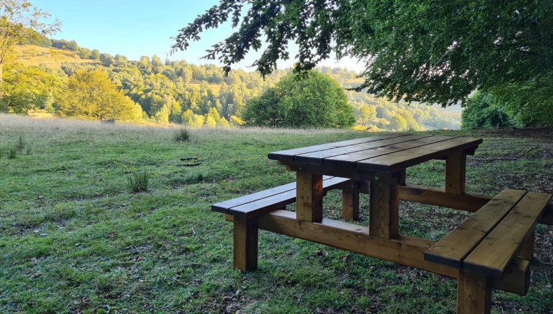 Reconectare cu natura: „CAVNICarii” au amenajat locuri de picnic