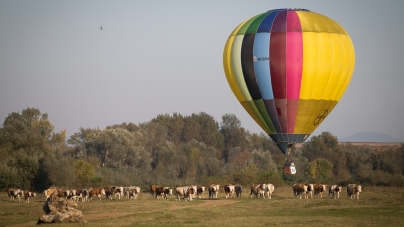 Maramureș Balloon Fiesta: Festivalul baloanelor cu aer cald are loc în acest weekend