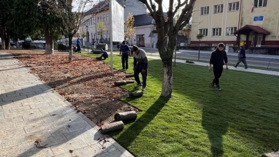 Parcul din vecinătatea primăriei Baia Sprie capătă culoare