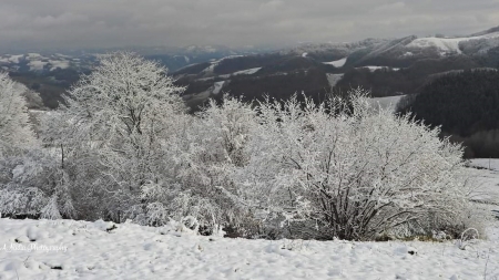 Meteo. Ninsori slabe și temperaturi ușor mai ridicate în Maramureș