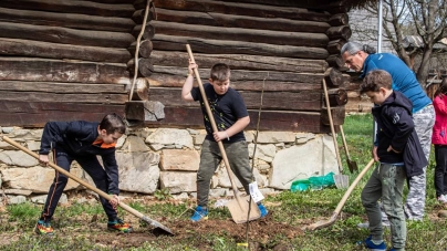 Muzeului Satului din Baia Mare organizează o nouă ediție a manifestării “Plantează o floare, sădește un pom, fă-ți datoria de om…”