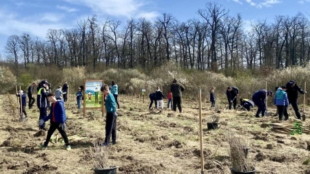 Poliția împreună cu copiii au dat viață unui spațiu verde nou în județul Maramureș