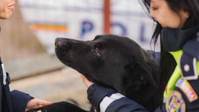 Polițistele Anca și Maria, ”îngeri” pentru animalele din Maramureș