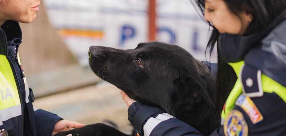 Polițistele Anca și Maria, ”îngeri” pentru animalele din Maramureș