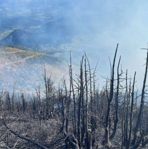 Incendiu în Munții Rodnei