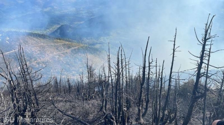 Incendiu în Munții Rodnei