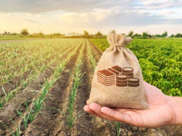 7 iunie, termenul limită de depunere a cererii de plată, de către fermieri