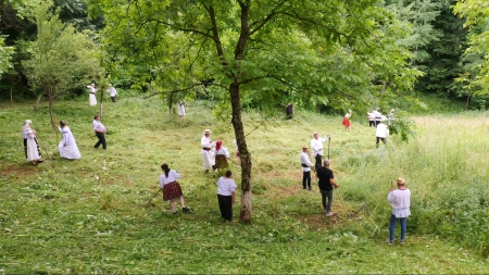 A fost clacă de coasă în Cărbunari