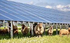 Modificări la proiectul instalării de panouri fotovoltaice în ferme, cu bani europeni