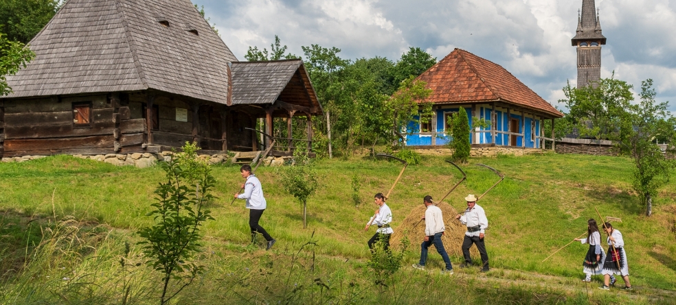 Sunteți invitați la clacă de coasă la Muzeul Satului din Baia Mare