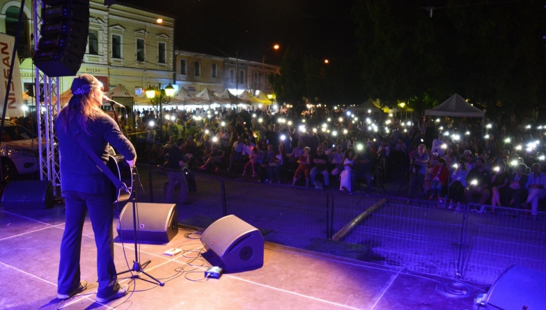 Cea de-a XII-a ediție a Festivalului-concurs de folk „Floare de colț” va avea loc la Sighetu Marmației în 17-18 august