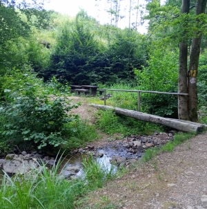 Valea Usturoiului, refugiul ideal în zilele caniculare