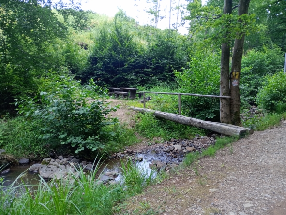 Valea Usturoiului, refugiul ideal în zilele caniculare