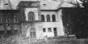 Castelul baronului Bornemisza din Asuaju de Sus, odinioară o bijuterie arhitecturală, astăzi o ruină