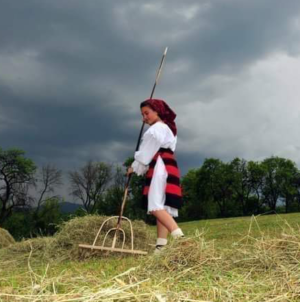 Strânsul fânului, un vechi ritual în Maramureș