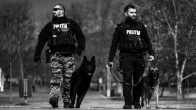 Câinii polițiști sunt sărbătoriții zilei la IPJ Maramureș