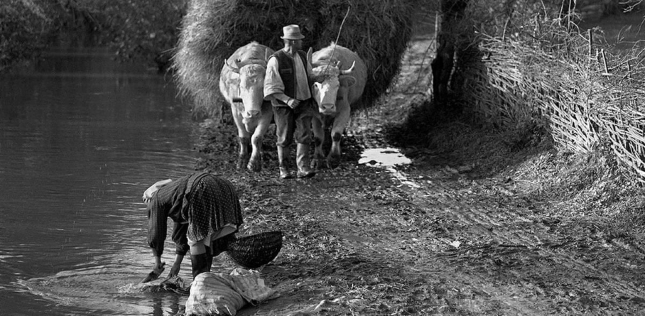 Lăutu’ hainelor, o îndeletnicire des practicată de femeile din lumea satului de odinioară