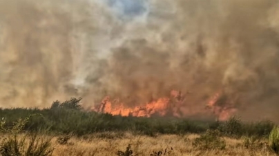 75 de pompieri se luptă în aceste momente cu flăcările în Lăpușel, Coltău și Arieșu de Pădure