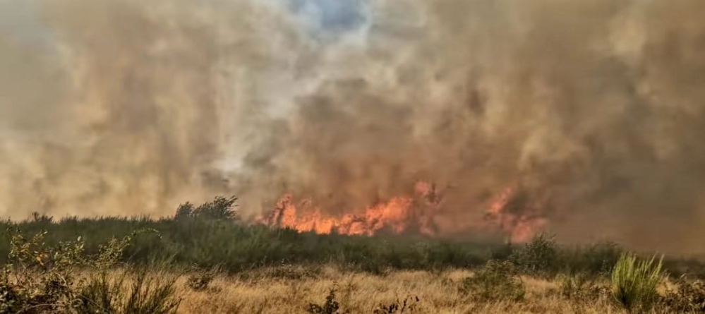 Ce spune ISU Maramureș despre incendiul masiv de ieri