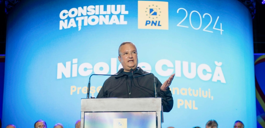 Nicolae Ciucă, desemnat candidatul PNL la prezidențiale: Voi fi în slujba țării, în slujba românilor