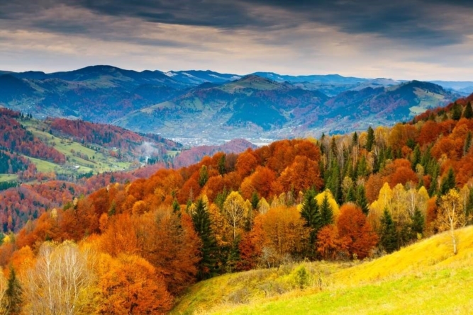 Toamna, paletă de culori și frumusețe