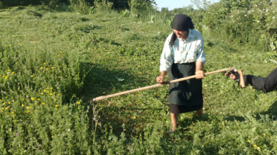 Într-o zi de 15 octombrie se sărbătoresc femeile din mediul rural