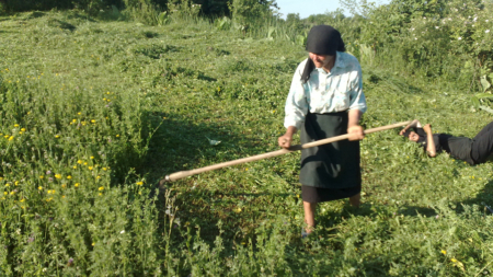 Într-o zi de 15 octombrie se sărbătoresc femeile din mediul rural