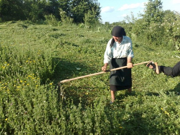 Într-o zi de 15 octombrie se sărbătoresc femeile din mediul rural