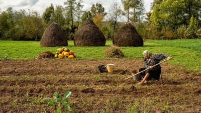 La cei 98 de ani ai săi, mătușa Dochia din Maramureș încă muncește pământul așa cum a făcut întreaga viață