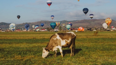 A început „Maramureș Balloon Fiesta”