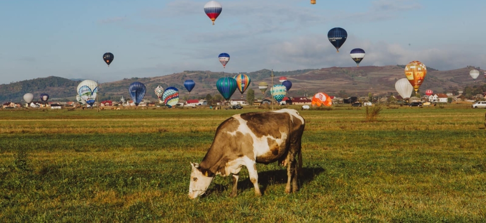 A început „Maramureș Balloon Fiesta”