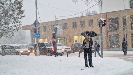 Cod galben de ninsori în Maramureș