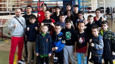 Academia ALPHA MMA Baia Mare, rezultate foarte bune la “Cupa Maramureșului” de Kickboxing