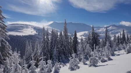 În Munții Rodnei, iarna e la ea acasă