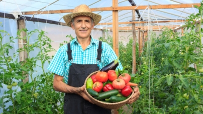 S-a prelungit termenul de depunere a cererilor pentru ajutorul de minimis, acordat fermierilor care cultivă legume în sere