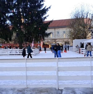 Patinoarul, distracția copiilor aflați în vacanță