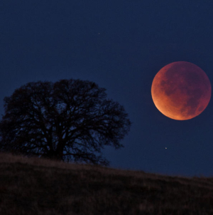 Două eclipse de lună și două de soare, în anul 2025