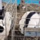 În Baia Mare: Expoziție păsări, iepuri, porumbei și alte animale mici