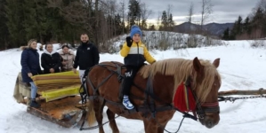 Turiști fericiți după o plimbare cu sania, trasă de iapa Karina