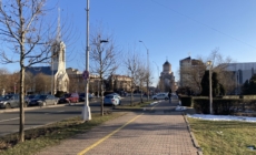 Vize anuale obținute pe loc, pe raza municipiului Baia Mare