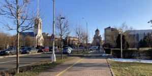 Vize anuale obținute pe loc, pe raza municipiului Baia Mare