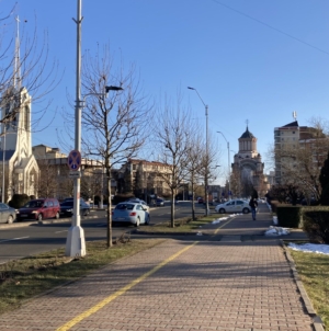 Vize anuale obținute pe loc, pe raza municipiului Baia Mare