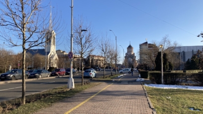 Vize anuale obținute pe loc, pe raza municipiului Baia Mare