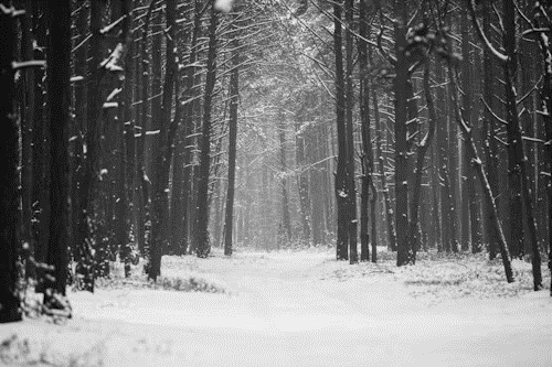 Tragedie la granița bulgaro-turcă