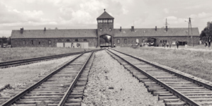 Auschwitz-Birkenau: 80 de ani de la eliberare