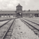 Auschwitz-Birkenau: 80 de ani de la eliberare