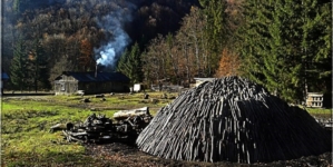 „Bocșele” de la Strâmbu-Băiuț – tradiție și continuitate